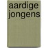 Aardige jongens