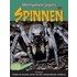 Spinnen