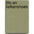 Lillo en liefkenshoek