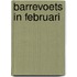 Barrevoets in februari