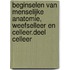 Beginselen van menselijke anatomie, weefselleer en celleer.Deel celleer