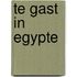 Te gast in Egypte