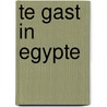 Te gast in Egypte door Nicolien Zuijdgeest