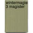 Wintermagie 3 magister