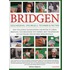 Bridgen