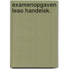 Examenopgaven leao handelsk. door Onbekend