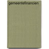 Gemeentefinancien door Bonnema