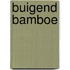 Buigend bamboe