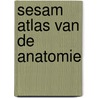 Sesam atlas van de anatomie by W. Kahle