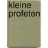 Kleine profeten