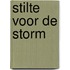 Stilte voor de storm