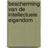 Bescherming van de intellectuele eigendom