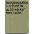 Hoogbegaafde kinderen in Actie Werken met KWINK!