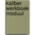 Kaliber werkboek moduul