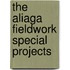 The Aliaga fieldwork special projects