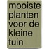 Mooiste planten voor de kleine tuin