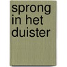 Sprong in het duister by Kern