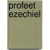 Profeet ezechiel by Noordtzy