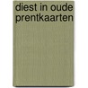 Diest in oude prentkaarten door W. Massin