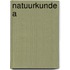 Natuurkunde a