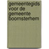 Gemeentegids voor de gemeente boornsterhem door Onbekend