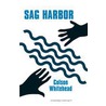 Sag Harbor door Colson Whitehead