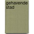 Gehavende stad