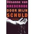 Door mijn schuld