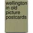 Wellington in old picture postcards