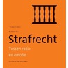 Strafrecht door Tineke Cleiren
