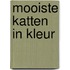 Mooiste katten in kleur