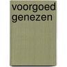 Voorgoed genezen door Ende