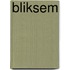 Bliksem