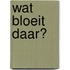 Wat bloeit daar?