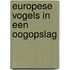 Europese vogels in een oogopslag