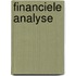 Financiele analyse