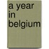 A year in Belgium