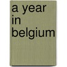 A year in Belgium door V. Merkx