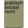 Praktisch sociaal recht by Dhertefelt