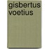 Gisbertus Voetius