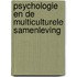 Psychologie en de multiculturele samenleving