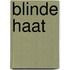 Blinde haat