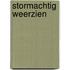 Stormachtig weerzien