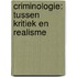 Criminologie: tussen kritiek en realisme