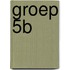 Groep 5B