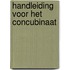 Handleiding voor het concubinaat