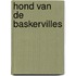Hond van de baskervilles