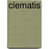 Clematis