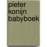 Pieter Konijn Babyboek