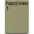 Havo/Vwo 1